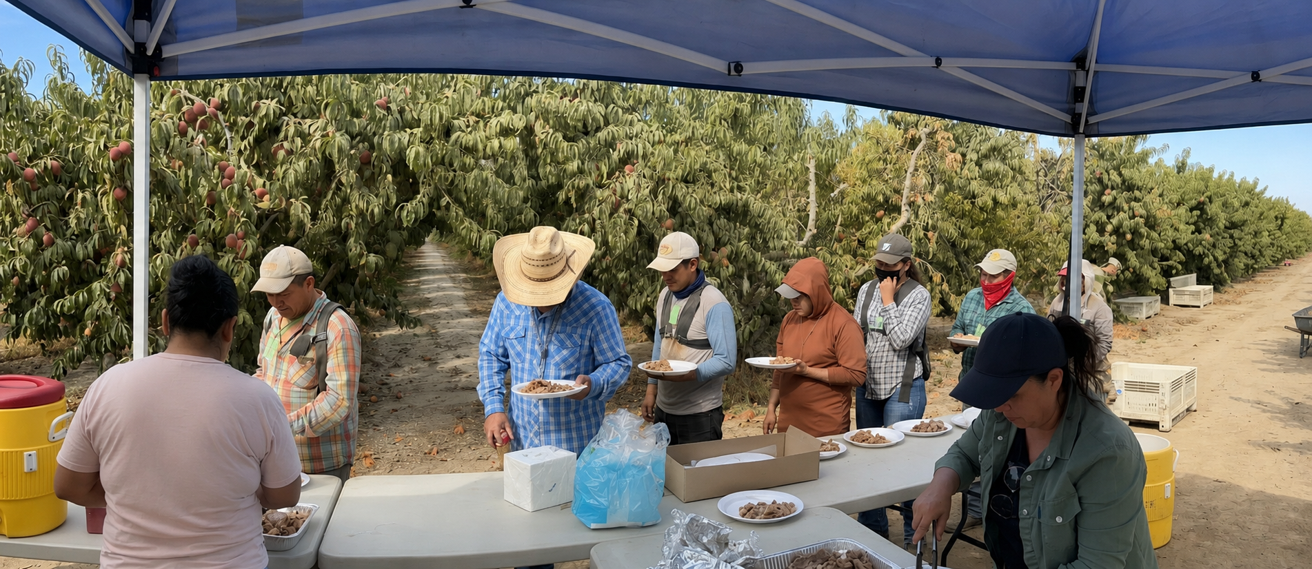 California Meal and Rest Break Compliance
